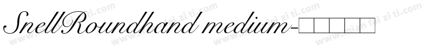 SnellRoundhand medium字体转换